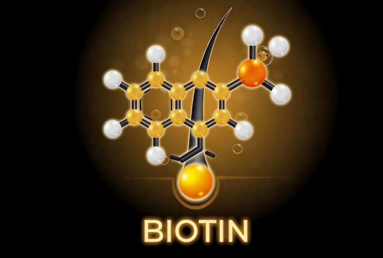 WhatsApp Image 2026-04-05 at 7.01.04 PM