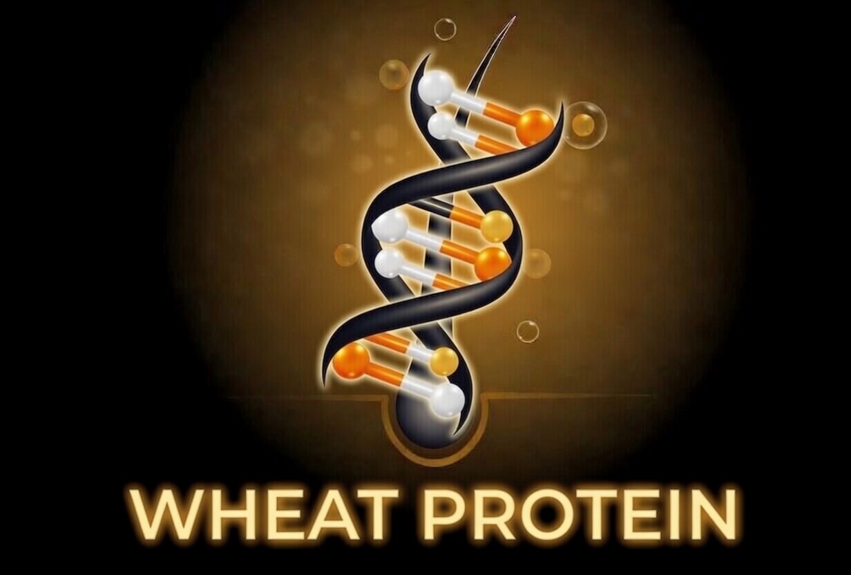 WhatsApp Image 2026-04-05 at 7.01.05 PM